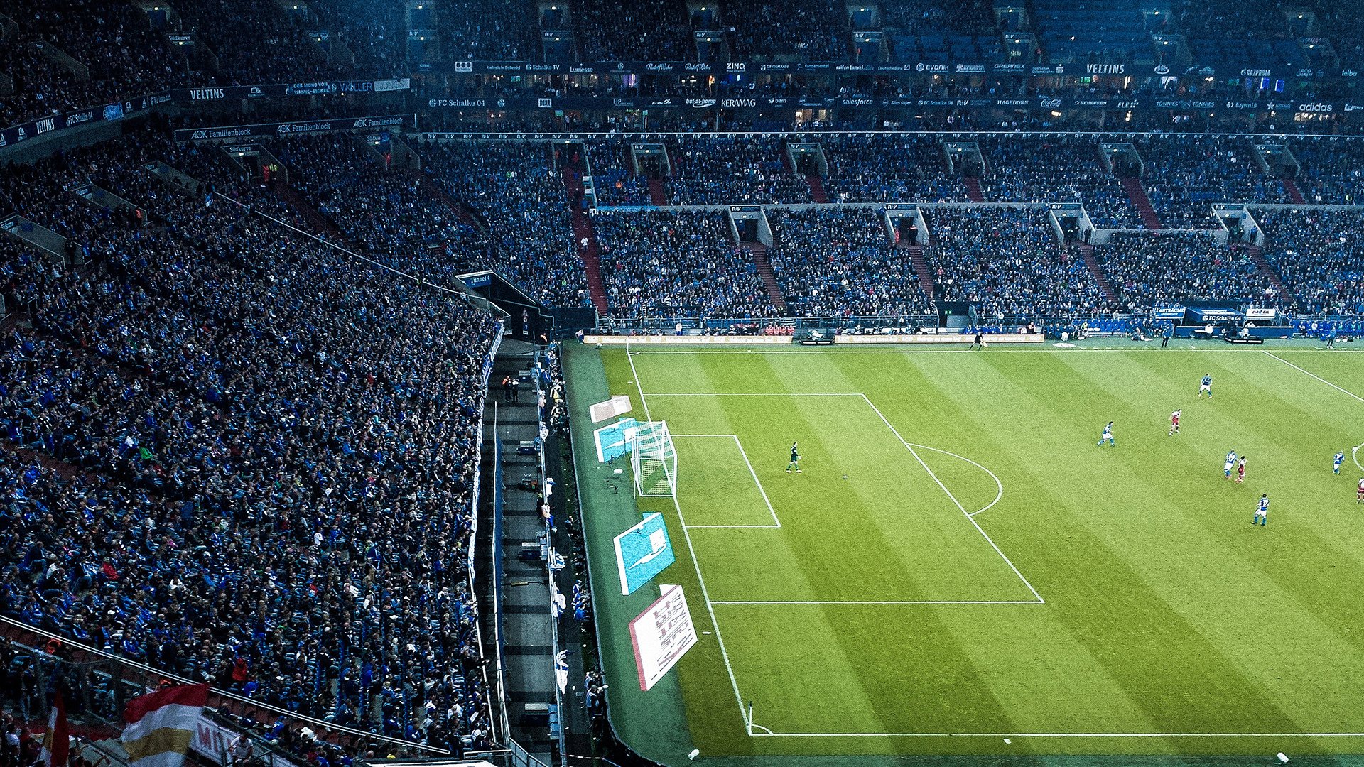 “2025世界游泳锦标赛：泳池上的速度大战与优雅演绎”